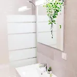 Vanilla - Pipera Daire *